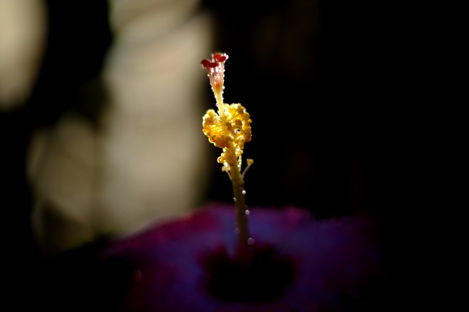 DSCF1644