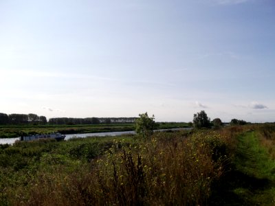 Ely Fen 10