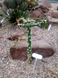 Botanical Garden