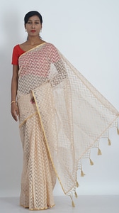Womens wear indian clothing traditional