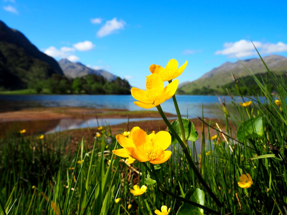 Loch Shiel