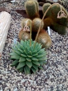 Botanical Garden