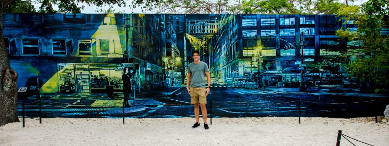 Wynwood Walls