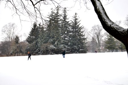 Winter - Johnston Green
