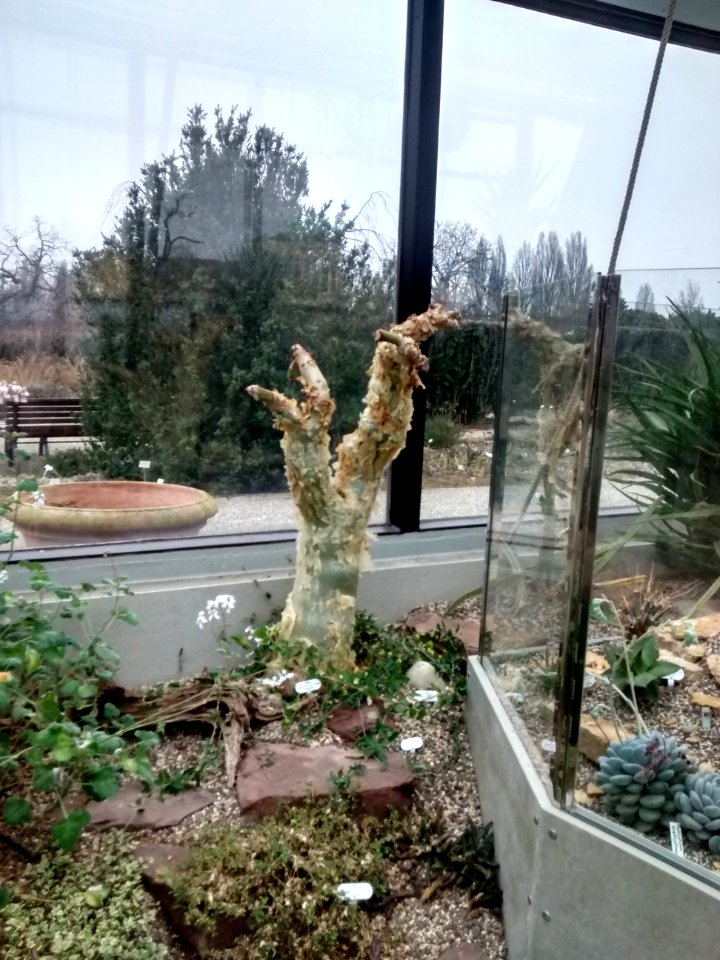 Botanical Garden