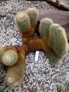 Botanical Garden