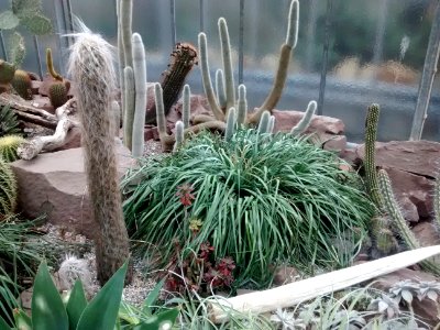 Botanical Garden