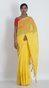 Womens wear indian clothing traditional