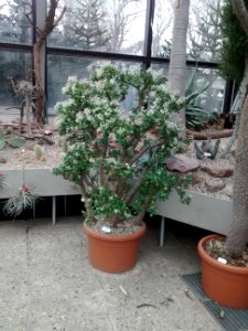 Botanical Garden
