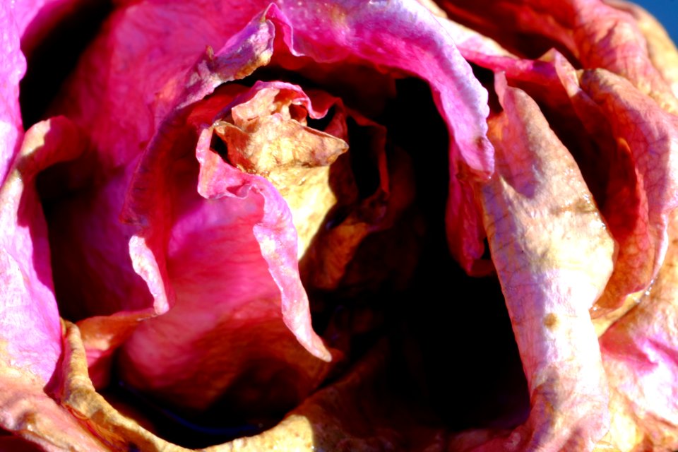 DSCF3428