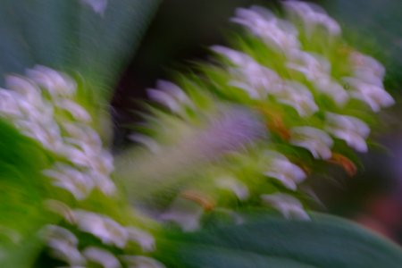 DSCF0824