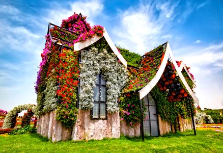 miracle garden 28847992194 o