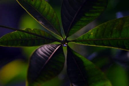 DSCF2850