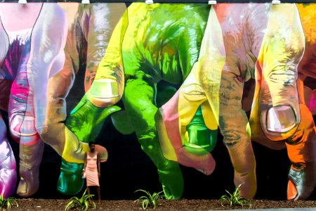 Wynwood Walls