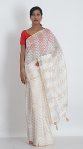 Womens wear indian clothing traditional