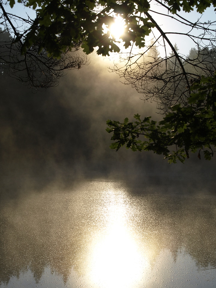 Day light nature