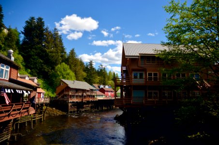 DSC 4312