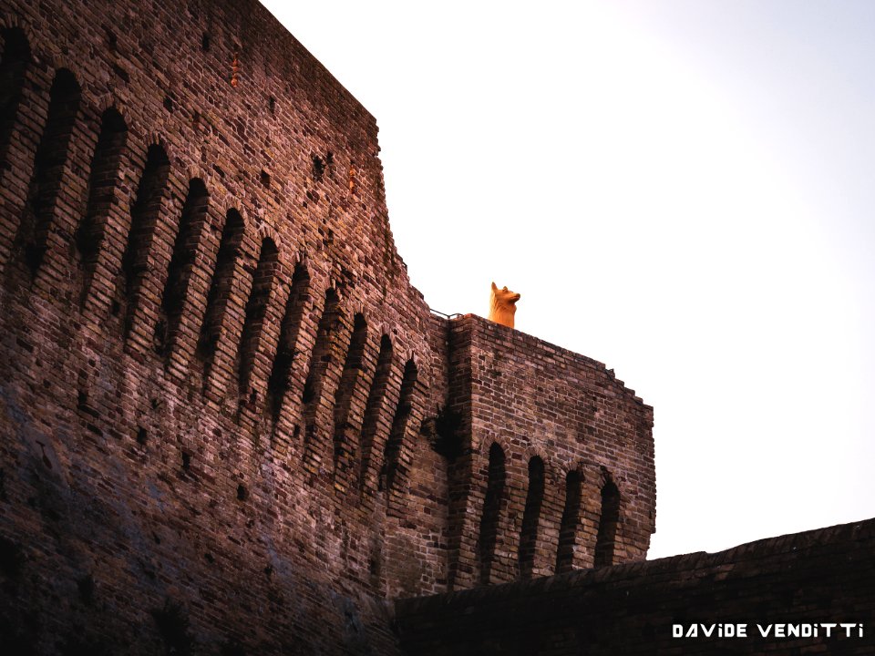 Plastic dog on Fortress