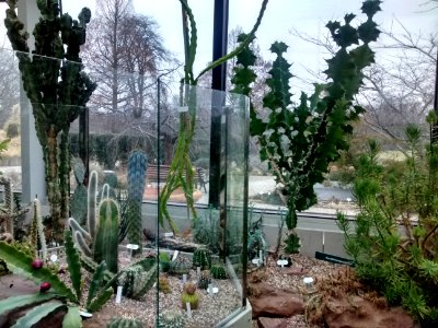 Botanical Garden