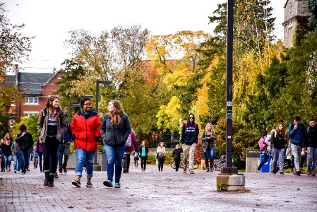 Winegard Walk