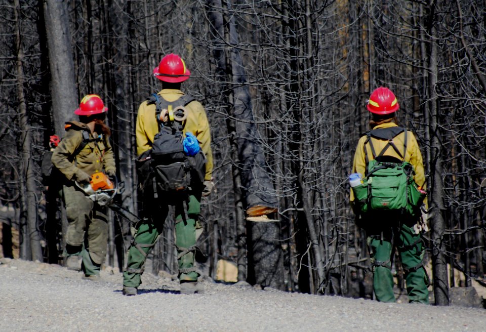 Fire Crew Clearing Snags