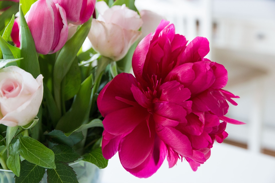 Roses bouquet colorful