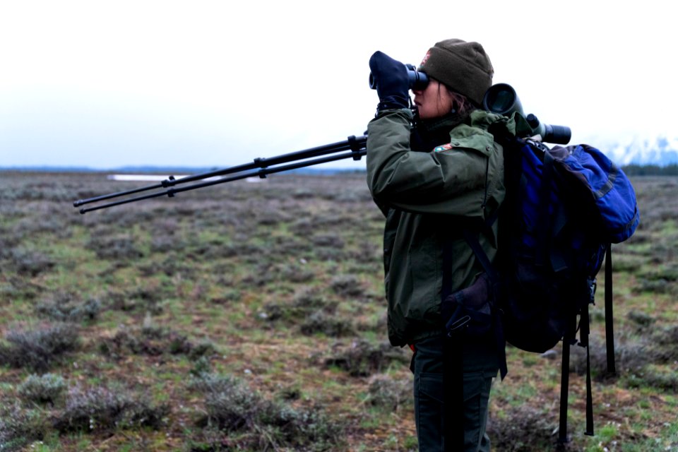 Ranger looks through binoculars