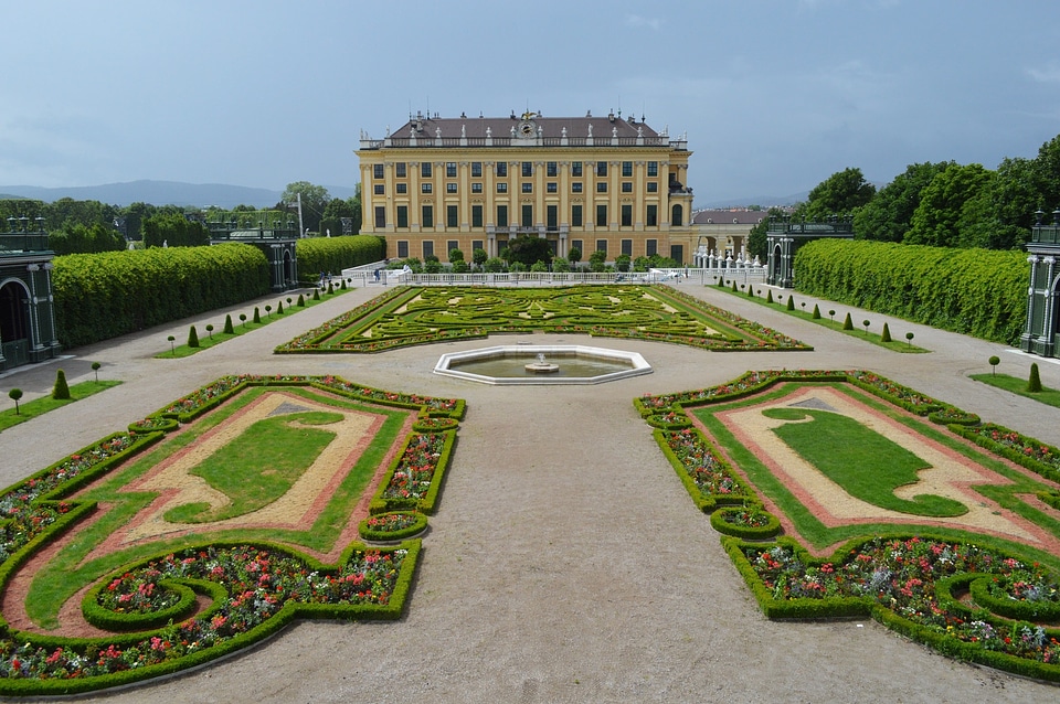 Schönbrunn park flowers