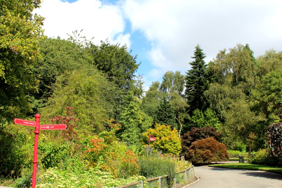 Golden Acre Park - Leeds