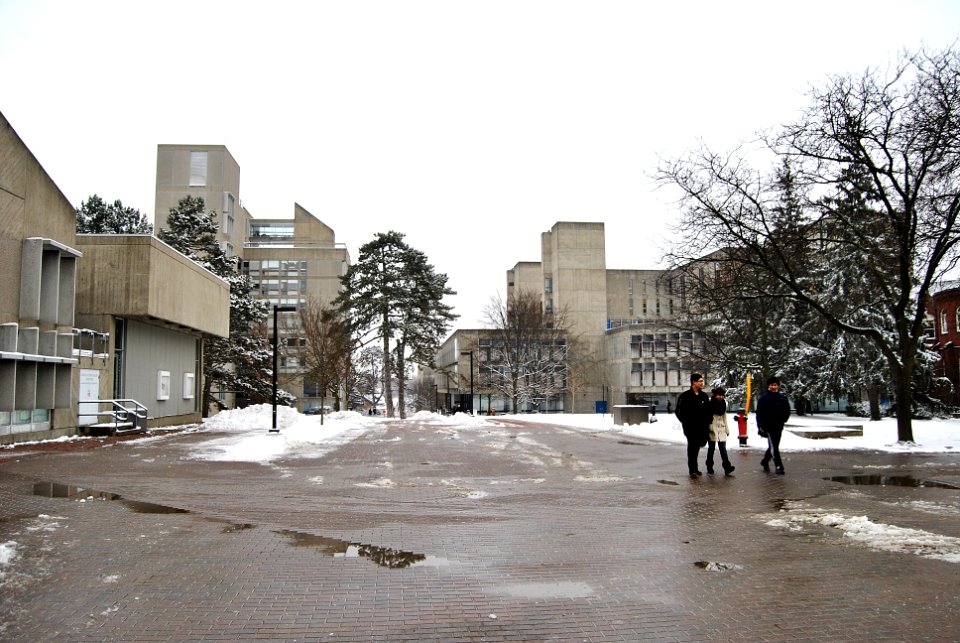 Winter - Winegard Walk