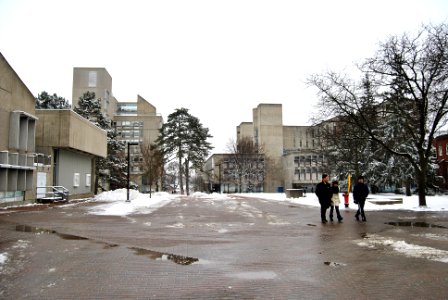 Winter - Winegard Walk