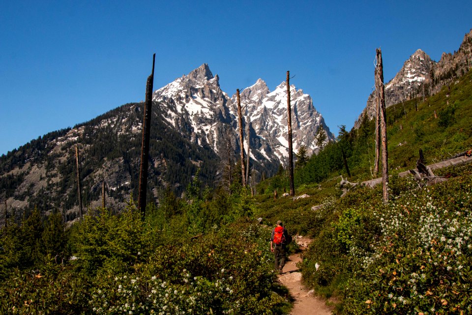 Jenny Lake Loop Trail