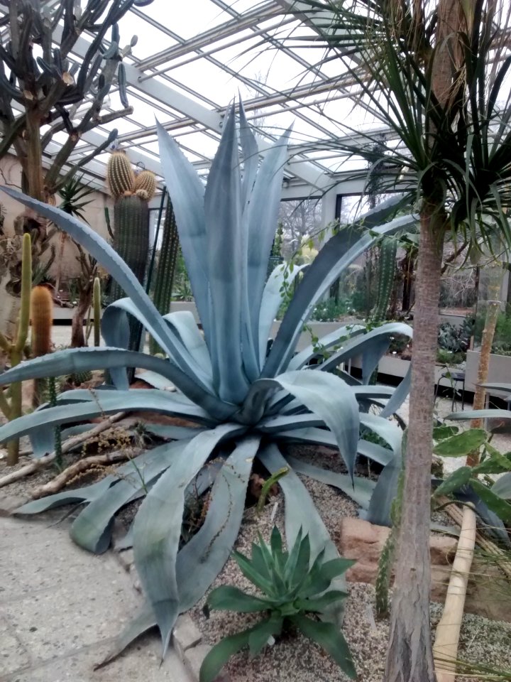 Botanical Garden
