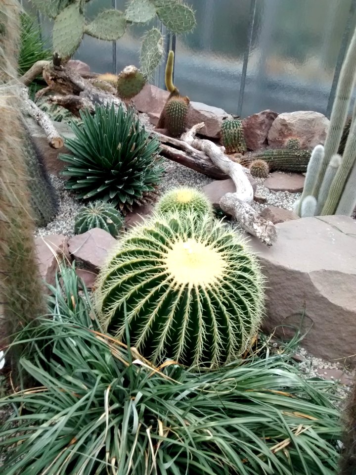 Botanical Garden