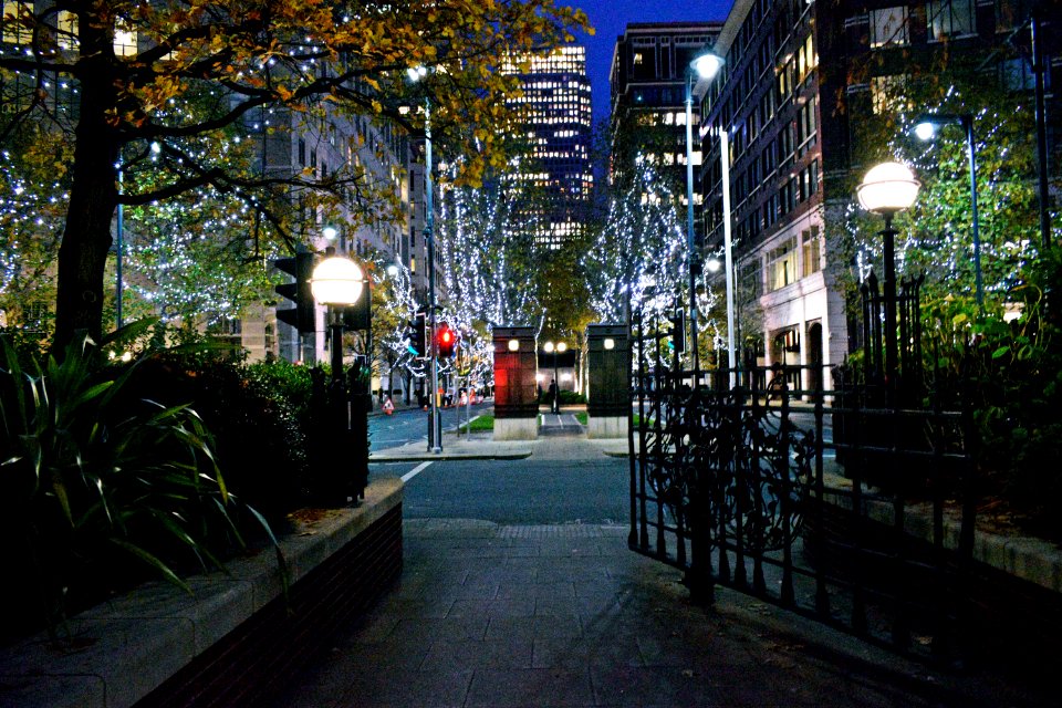 Canary Wharf at night