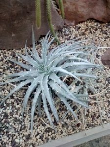 Botanical Garden