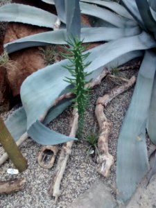 Botanical Garden