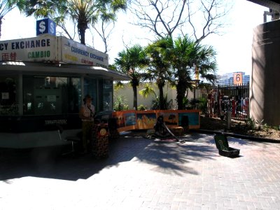 P9117429