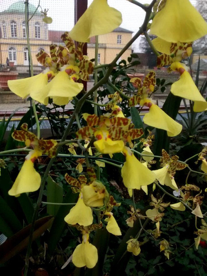 Botanical Garden