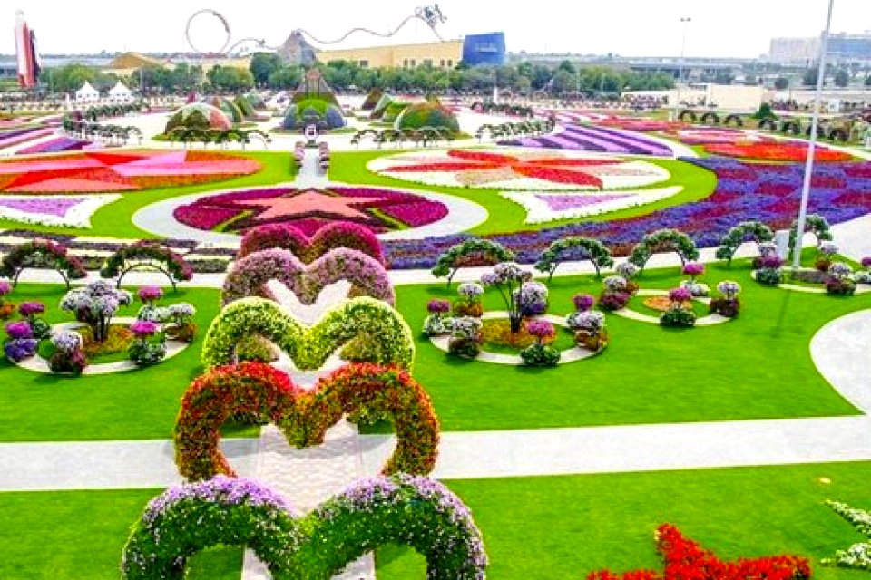 o-dubai-miracle-garden-facebook 29183983070 o