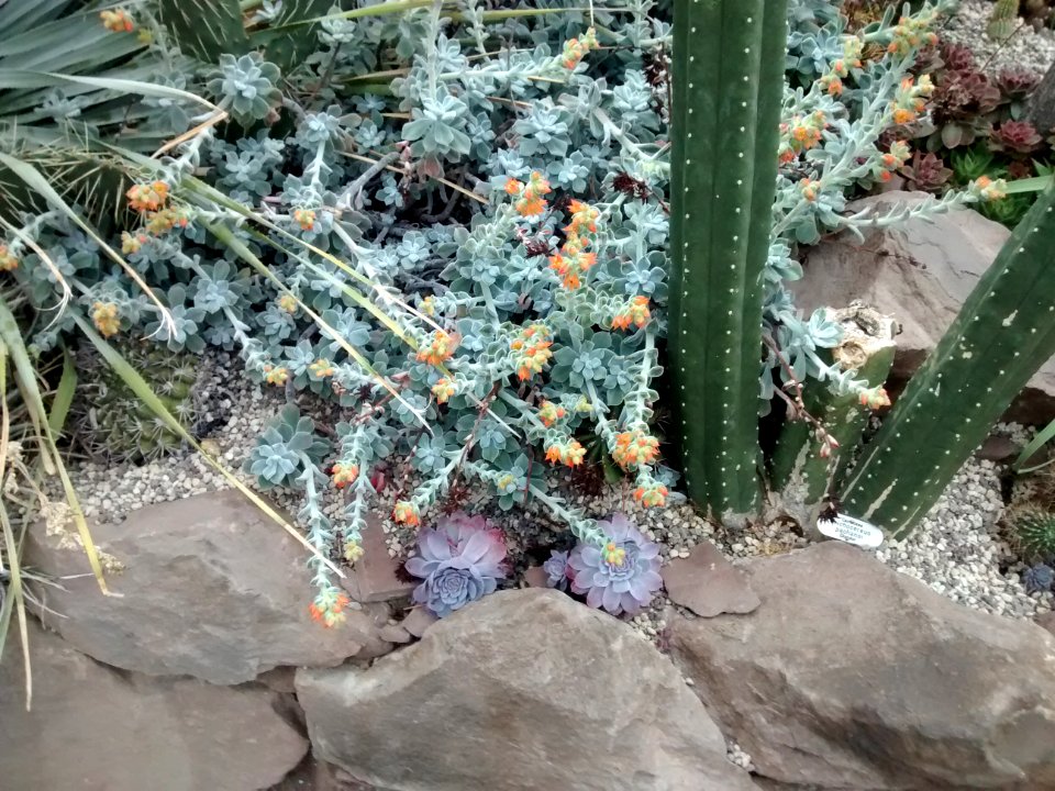 Botanical Garden