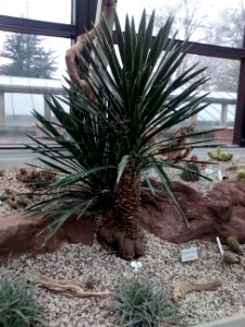 Botanical Garden