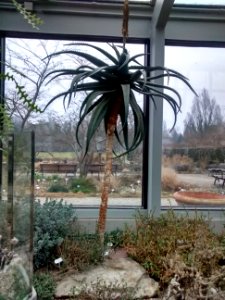Botanical Garden