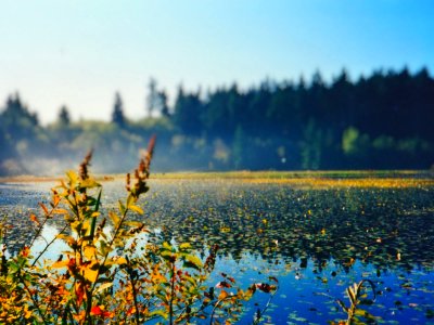 Misty Water