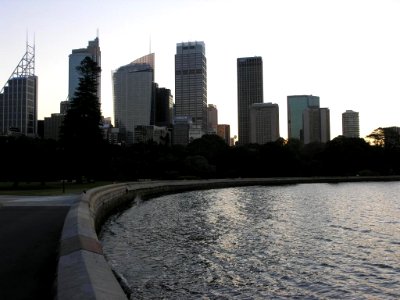 P9117525