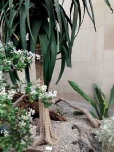 Botanical Garden