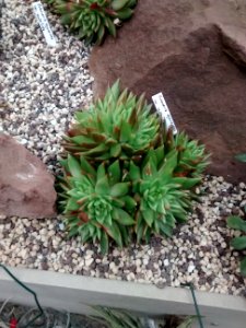 Botanical Garden