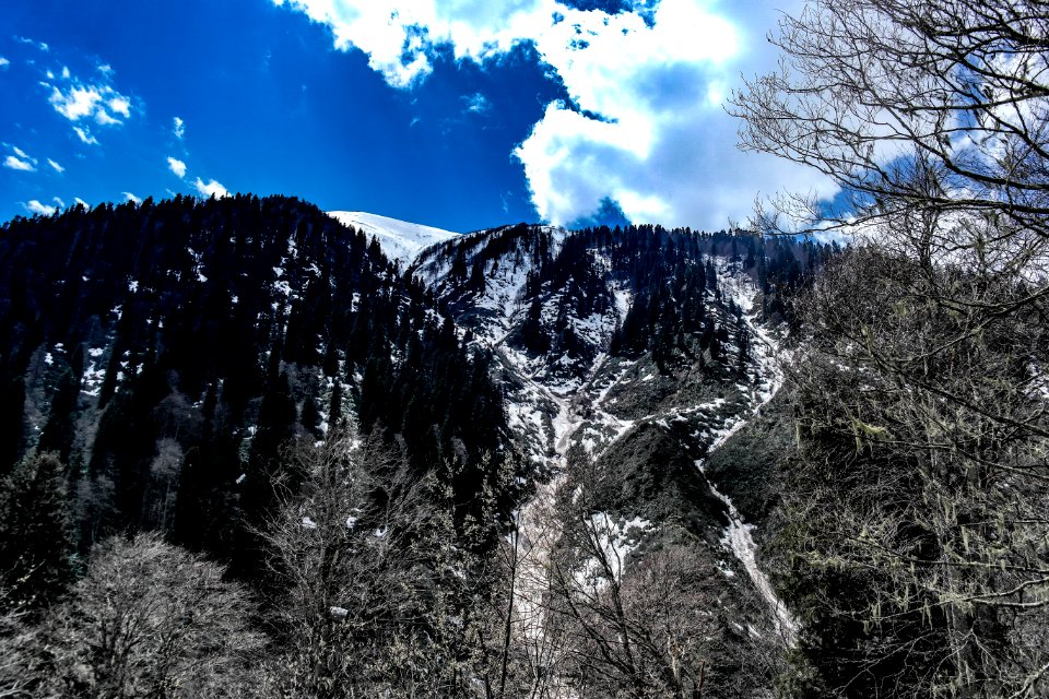 Ayder
