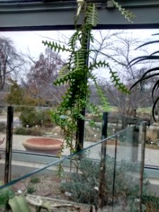 Botanical Garden