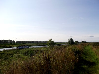 Ely Fen 9